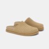 MA CLOG