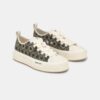 MA QUAD CANVAS COURT LOW